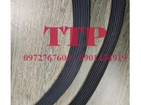 Gioăng cao su ống cống TG 19x25 D200